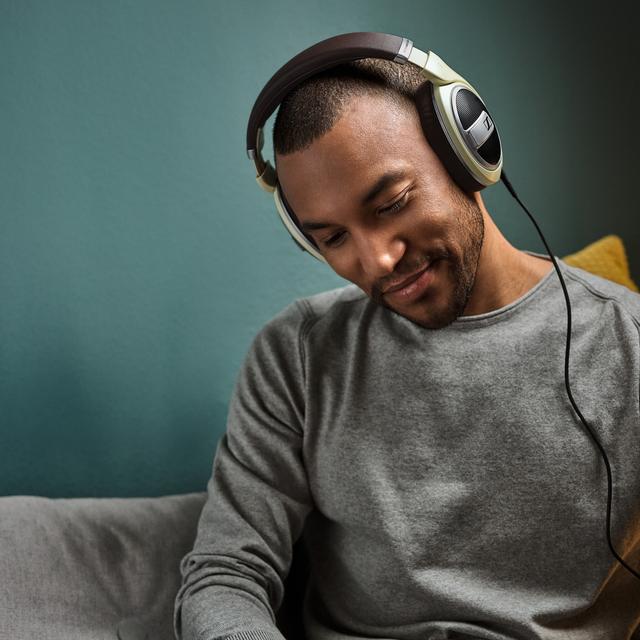 HD 599 Open Back Over Ear Wired Audiophile Headphones - Image 4