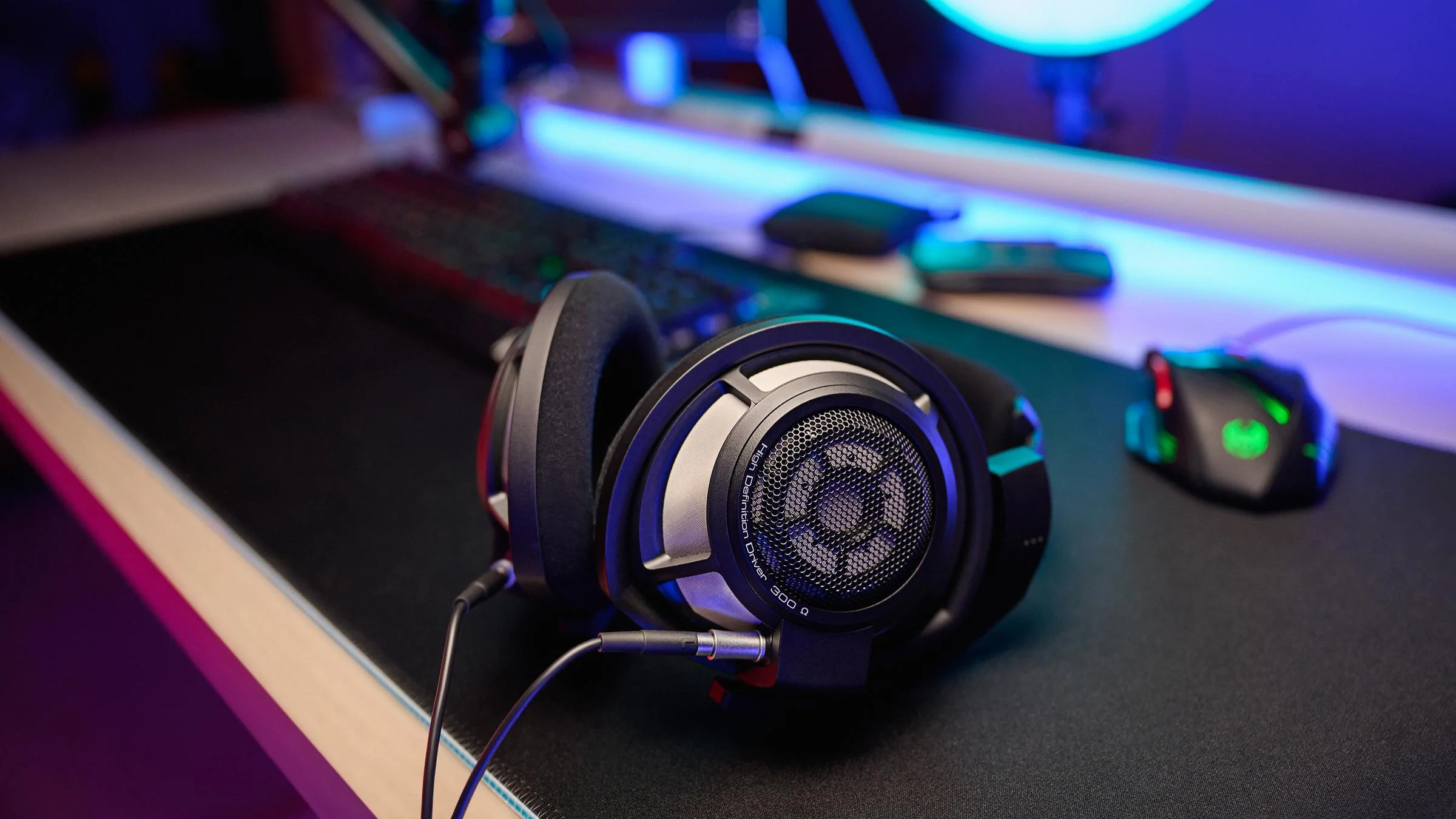 HD 800 S Open Box - Image 5